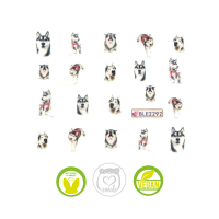 Waterdecal Trasferello: CANI BLE2292 Husky