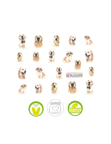 Waterdecal Trasferello: CANI BLE2299 Golden Retriever