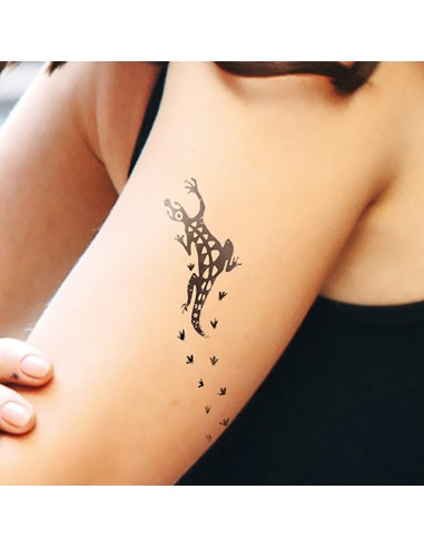 LADOT PIETRA TATUAGGIO MEDIO GECO